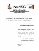 Imagem de Miniatura